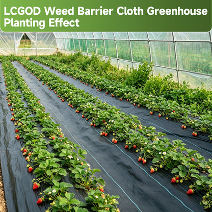 LCOGD 10x33ft High-Permeability Weed Barrier Fabric with 50 Ground Nails, Heavy Duty Landscape Fabric for Gardens, Lawns & Landscaping